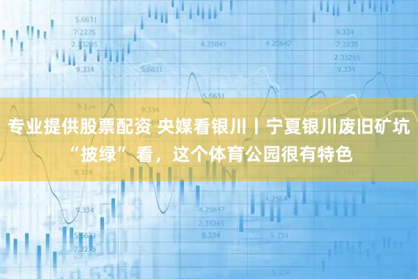 专业提供股票配资 央媒看银川丨宁夏银川废旧矿坑“披绿” 看，这个体育公园很有特色